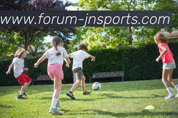 江南体育平台生态图